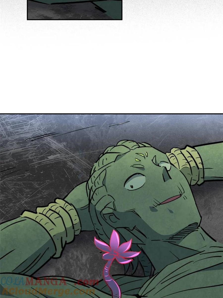43.jpg