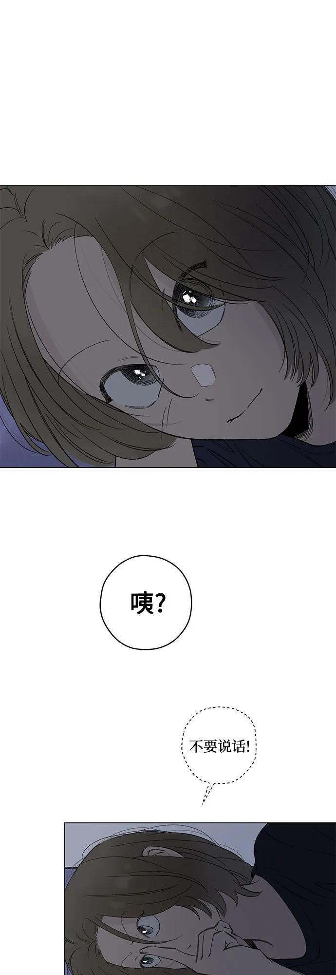 48.jpg
