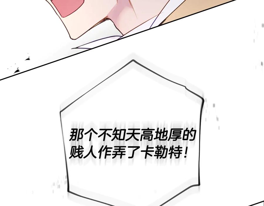 103.jpg