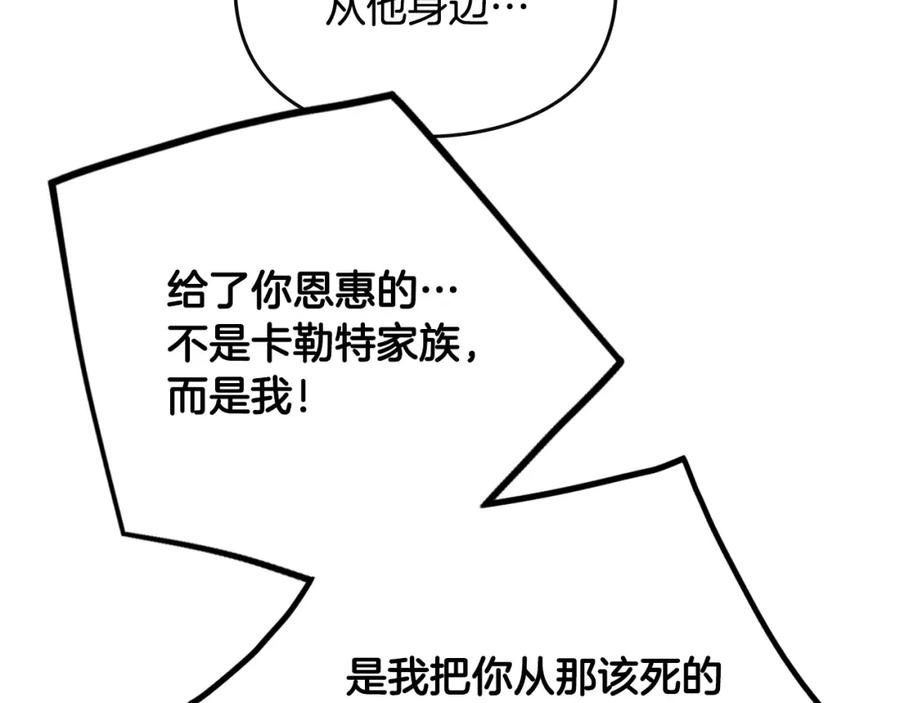 115.jpg