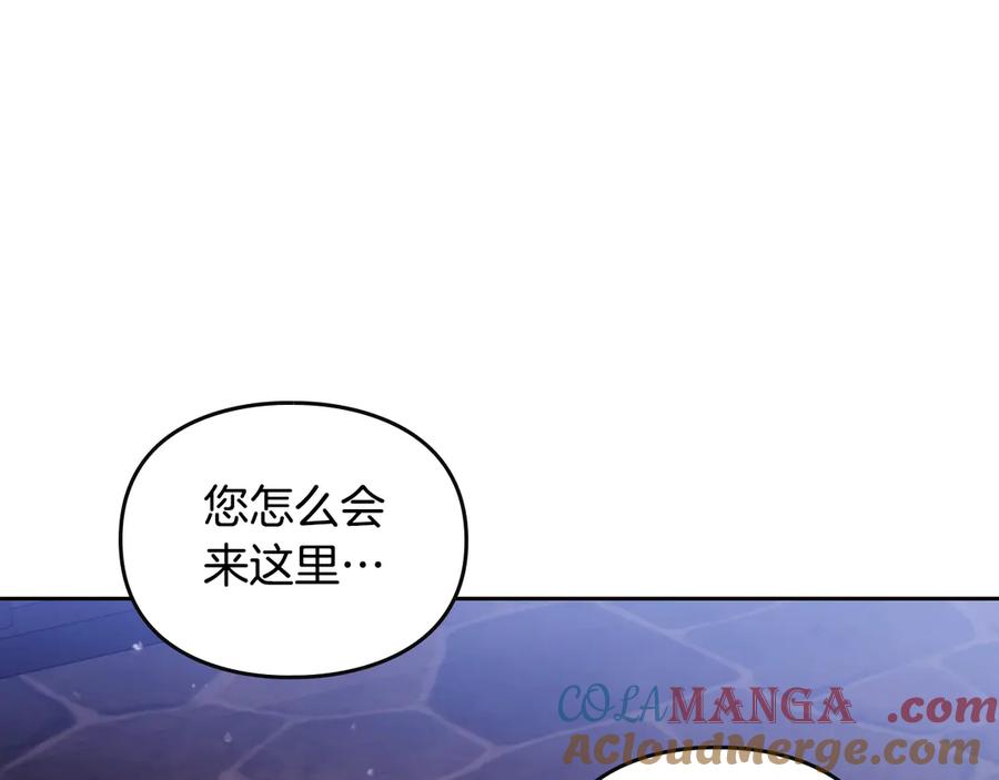81.jpg