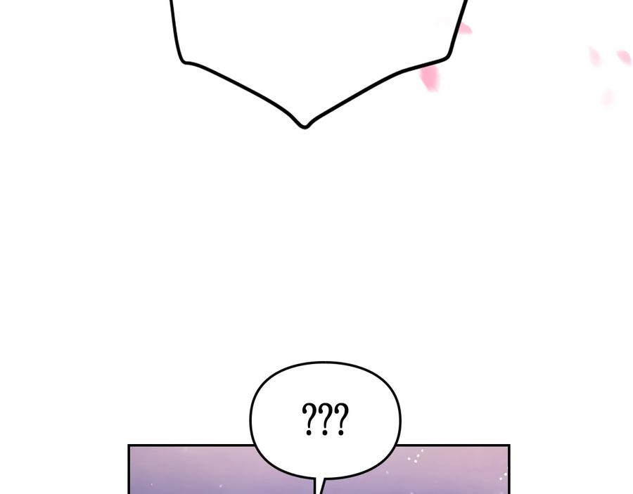 95.jpg