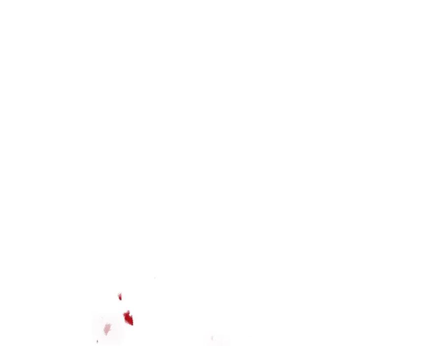 136.jpg
