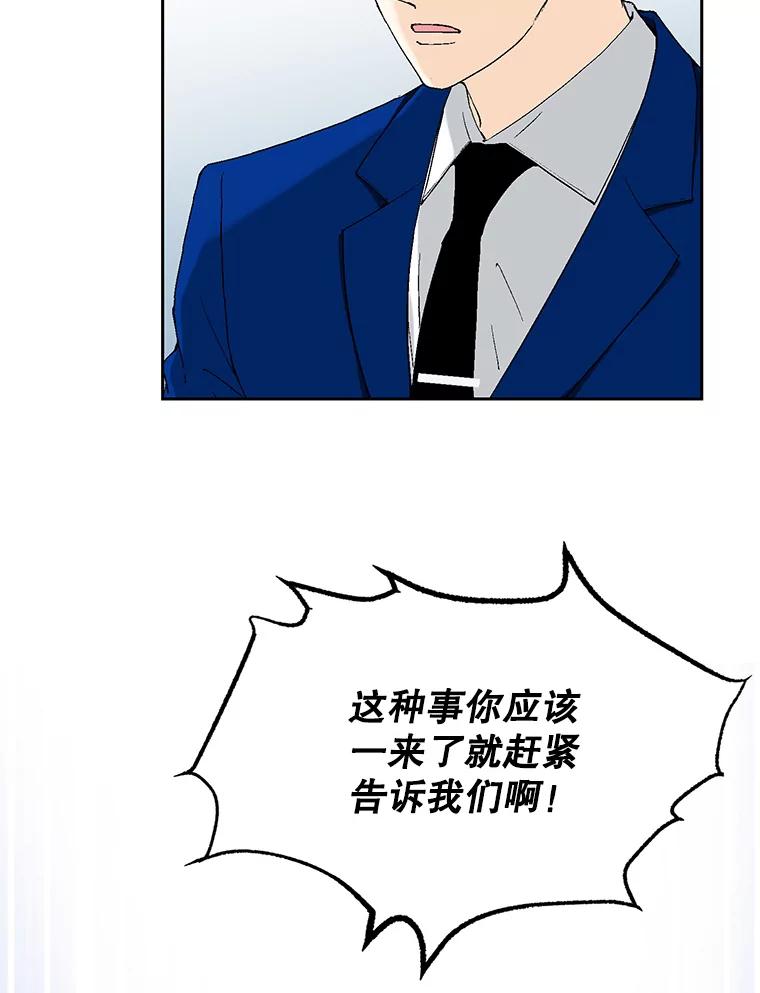 96.jpg