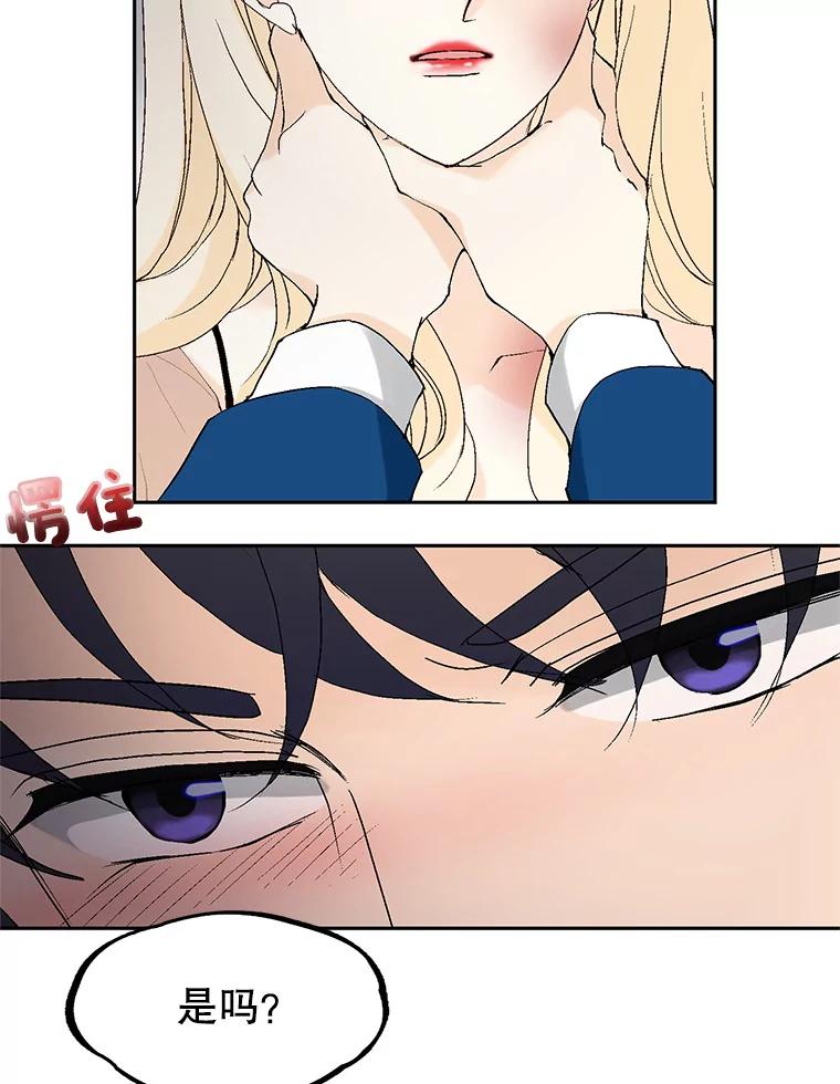 62.jpg
