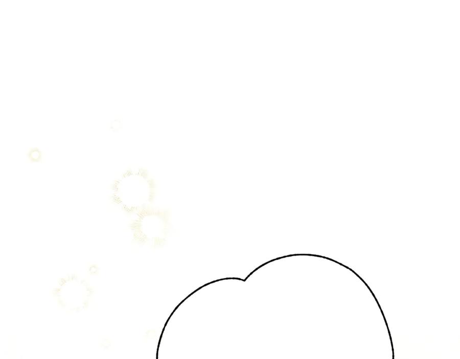 95.jpg