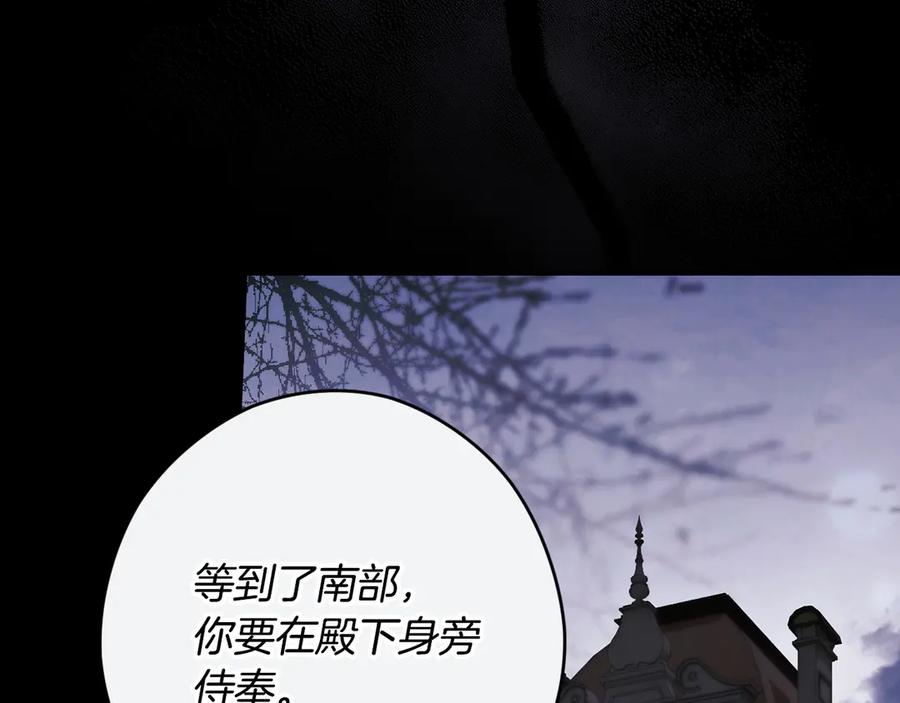 95.jpg