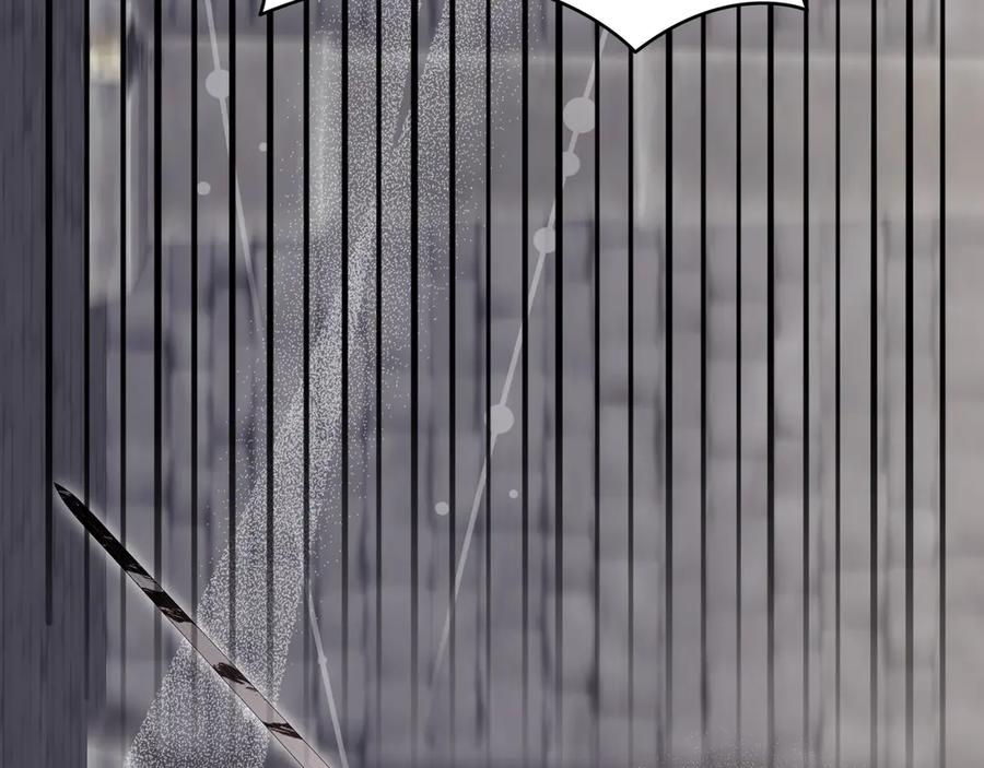 95.jpg