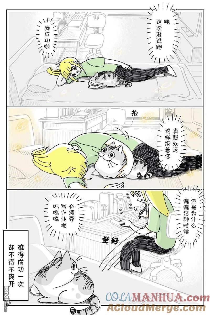 第125话-关于养猫我一直是新手-キュルZ（第3张）