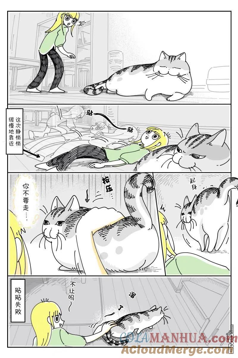 第125话-关于养猫我一直是新手-キュルZ（第1张）