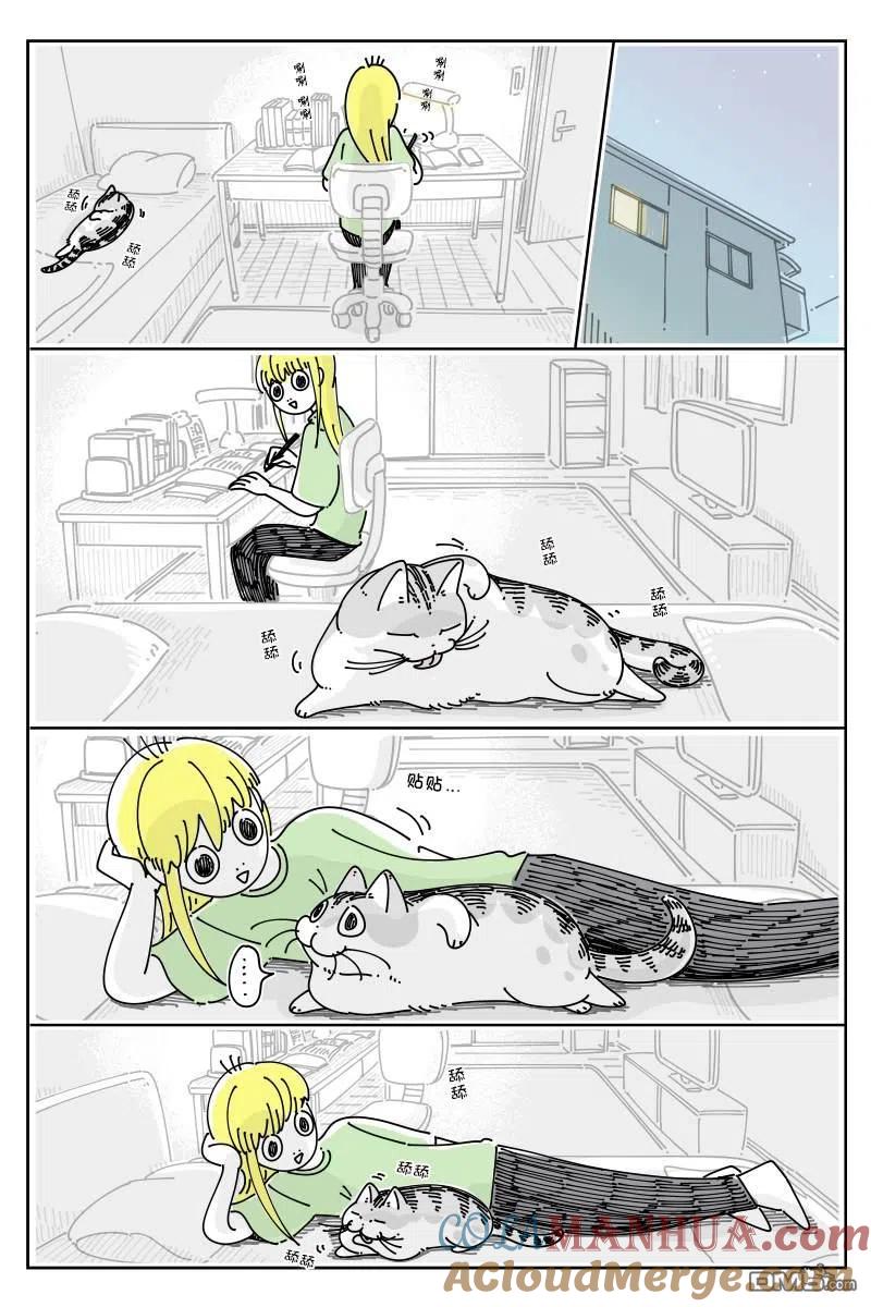 第125话-关于养猫我一直是新手-キュルZ（第2张）