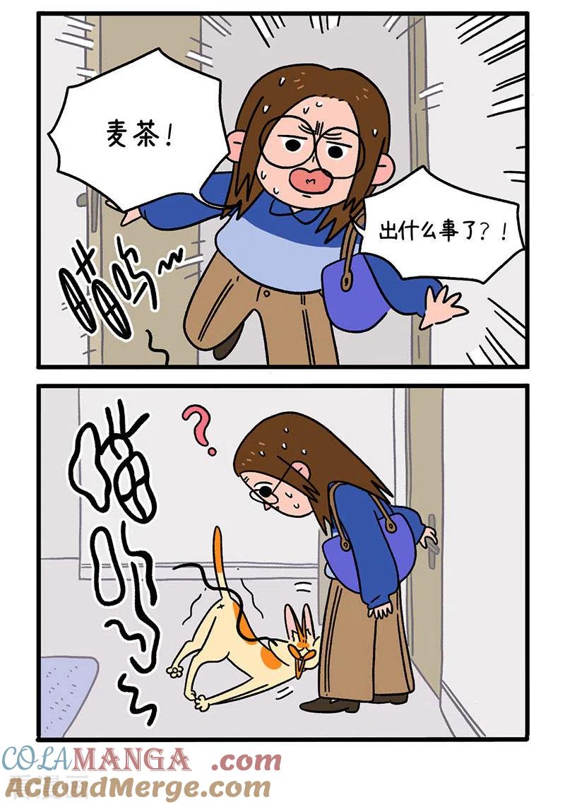 第12话1夜间噪音-阿满和麦茶-新漫画 日胖大海寺（第2张）