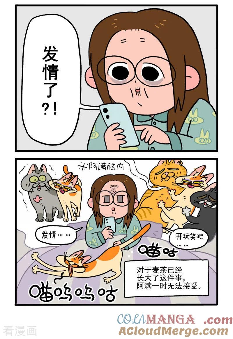 第12话2夜间噪音-阿满和麦茶-新漫画 日胖大海寺（第2张）