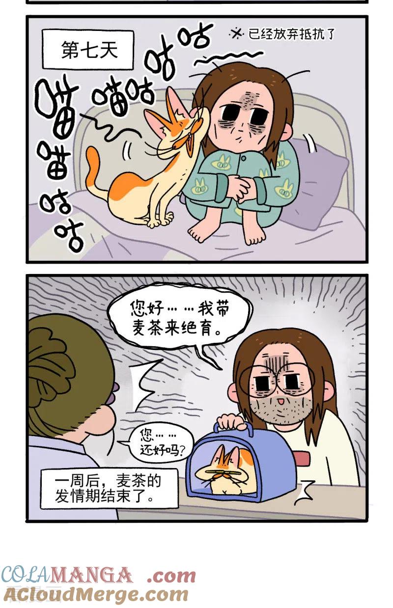 第12话2夜间噪音-阿满和麦茶-新漫画 日胖大海寺（第5张）