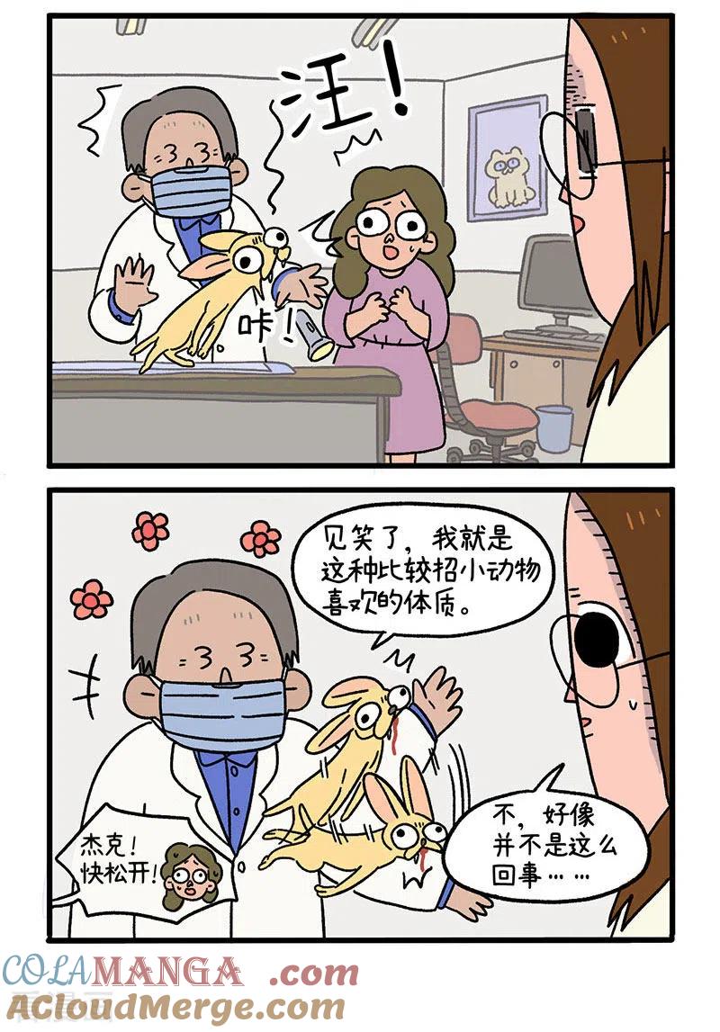 第13话1要做手术了-阿满和麦茶-新漫画 日胖大海寺（第2张）