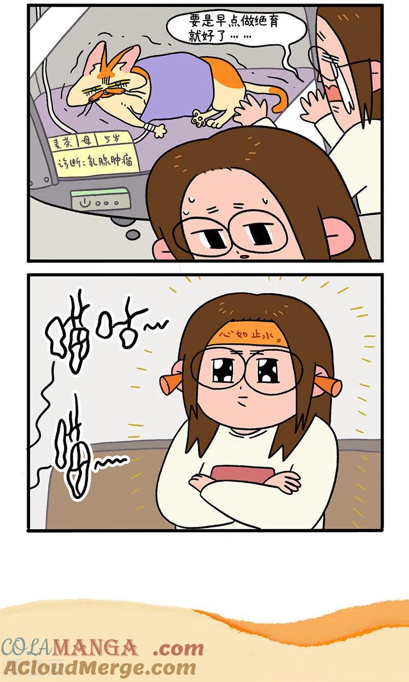 第13话1要做手术了-阿满和麦茶-新漫画 日胖大海寺（第5张）