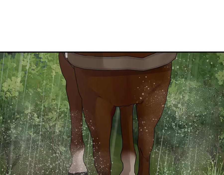 167.jpg