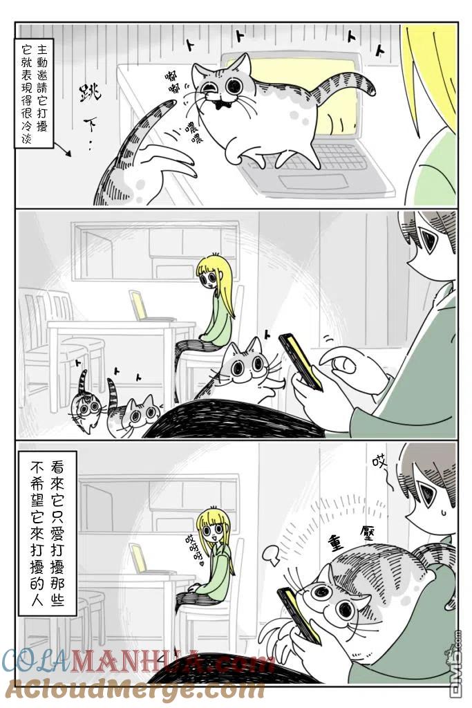 第33话-关于养猫我一直是新手-キュルZ（第2张）