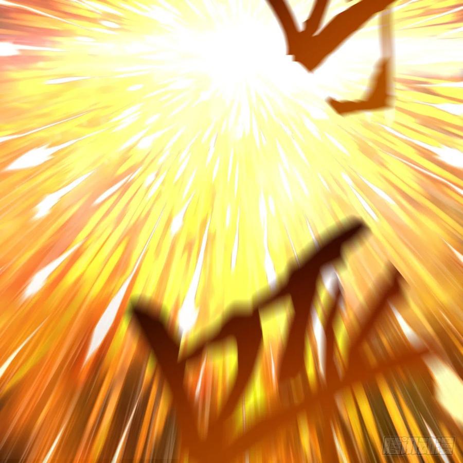 62.jpg