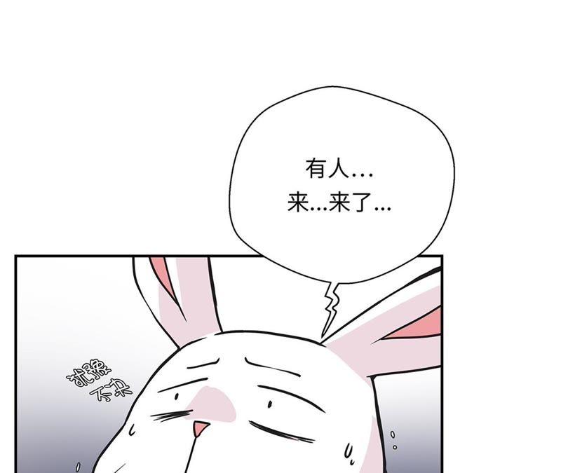 第75话真是搞笑-奇妙的动物高中-一漫文化（第14张）