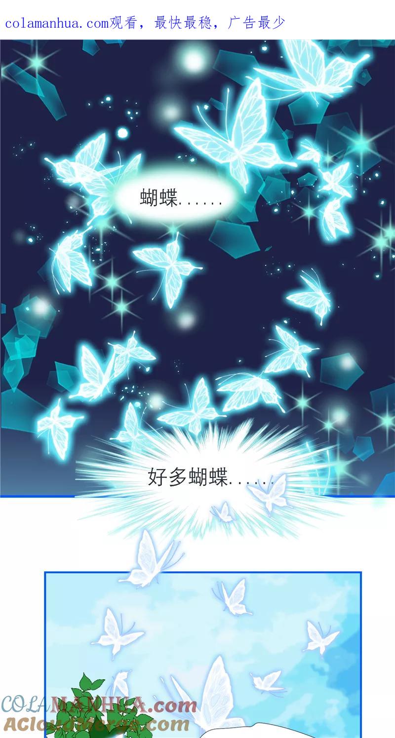 第1话-恋上月夜花蝶_a-二次元动漫 秦仪（第1张）