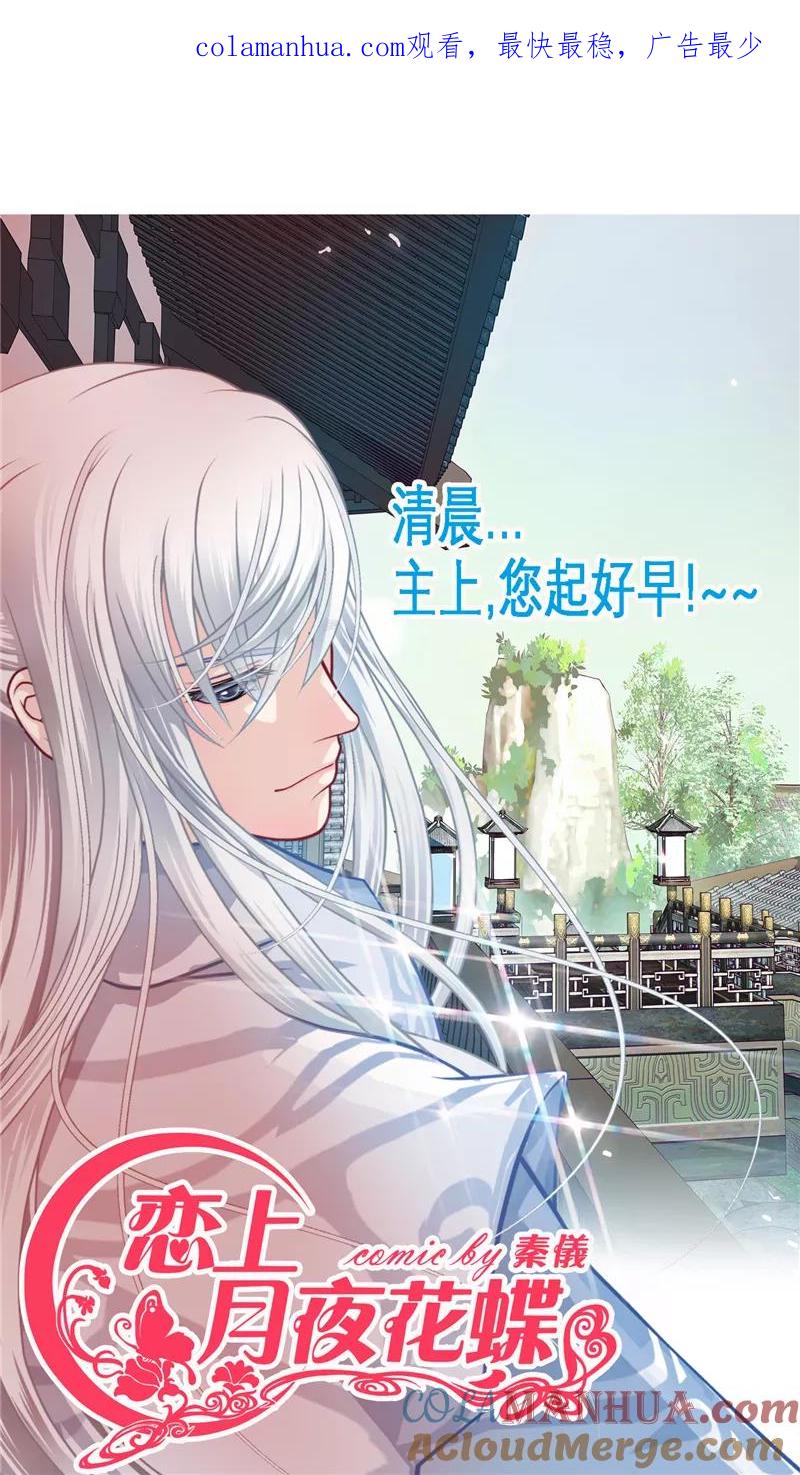 第30话-恋上月夜花蝶_a-二次元动漫 秦仪（第1张）