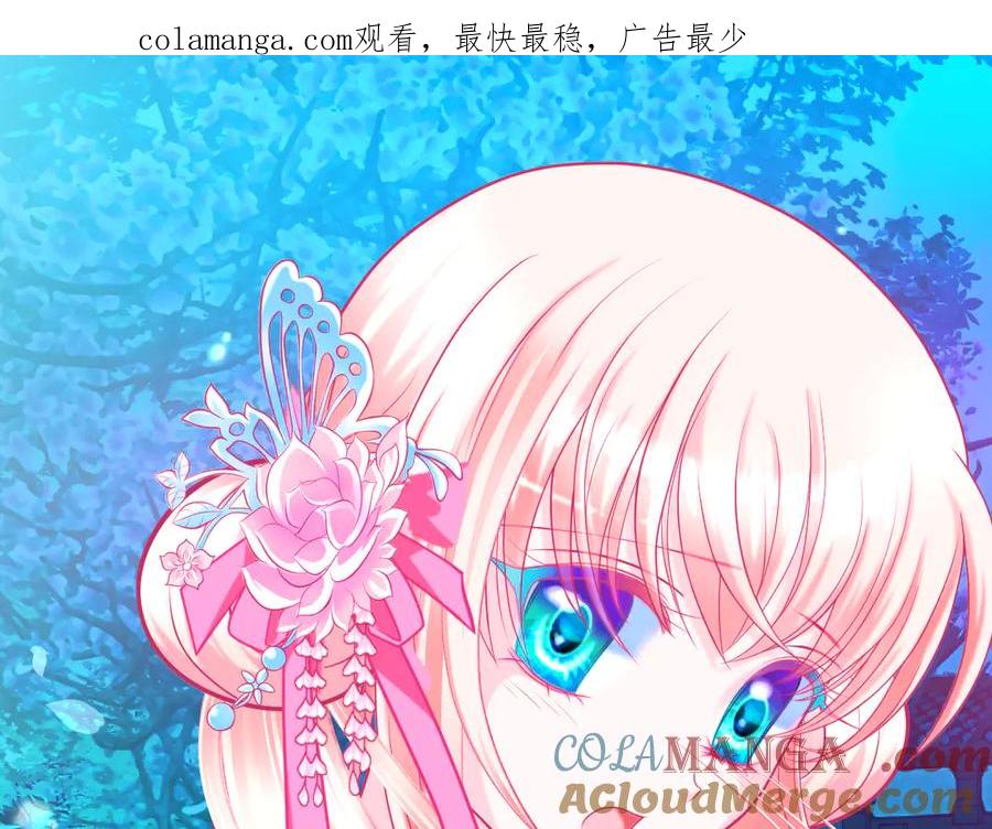 28头是猫头鹰的神秘人-恋上月夜花蝶(新)-茶茶猫秦仪（第1张）