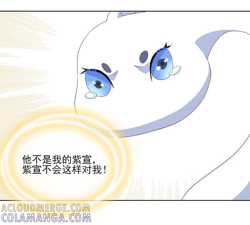 紫宣不会如此冷漠-天乩之白蛇传说-追梦动漫（第7张）