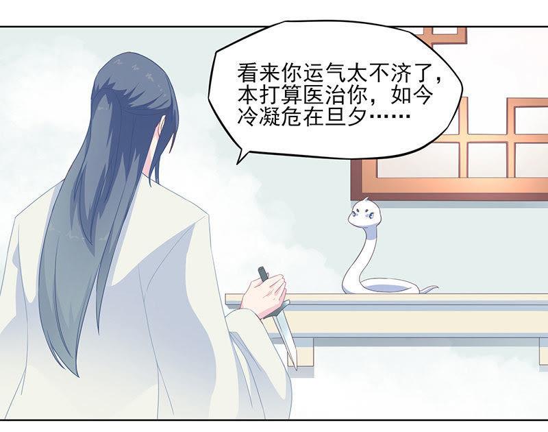 紫宣不会如此冷漠-天乩之白蛇传说-追梦动漫（第2张）