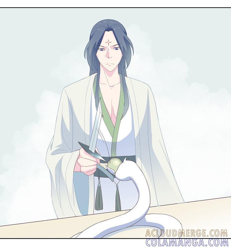 紫宣不会如此冷漠-天乩之白蛇传说-追梦动漫（第3张）