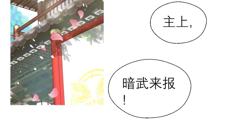 36只拿的动筷子-恋上月夜花蝶(新)-茶茶猫秦仪（第11张）
