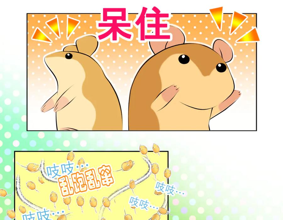 62役使老鼠的犬王？-恋上月夜花蝶(新)-茶茶猫秦仪（第10张）