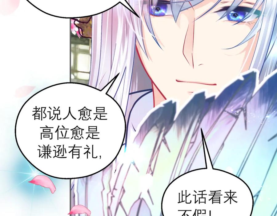 8路漫漫其修远兮-恋上月夜花蝶(新)-茶茶猫秦仪（第7张）