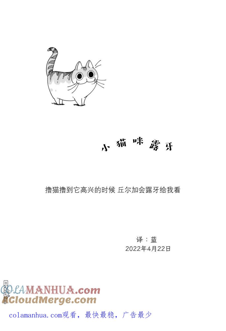第113话-关于养猫我一直是新手-キュルZ（第2张）