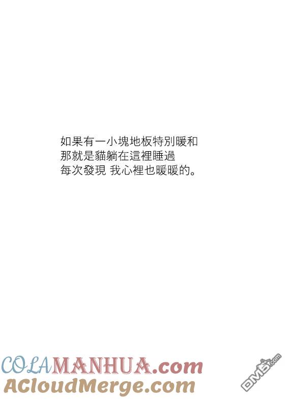 第20话-关于养猫我一直是新手-キュルZ（第3张）