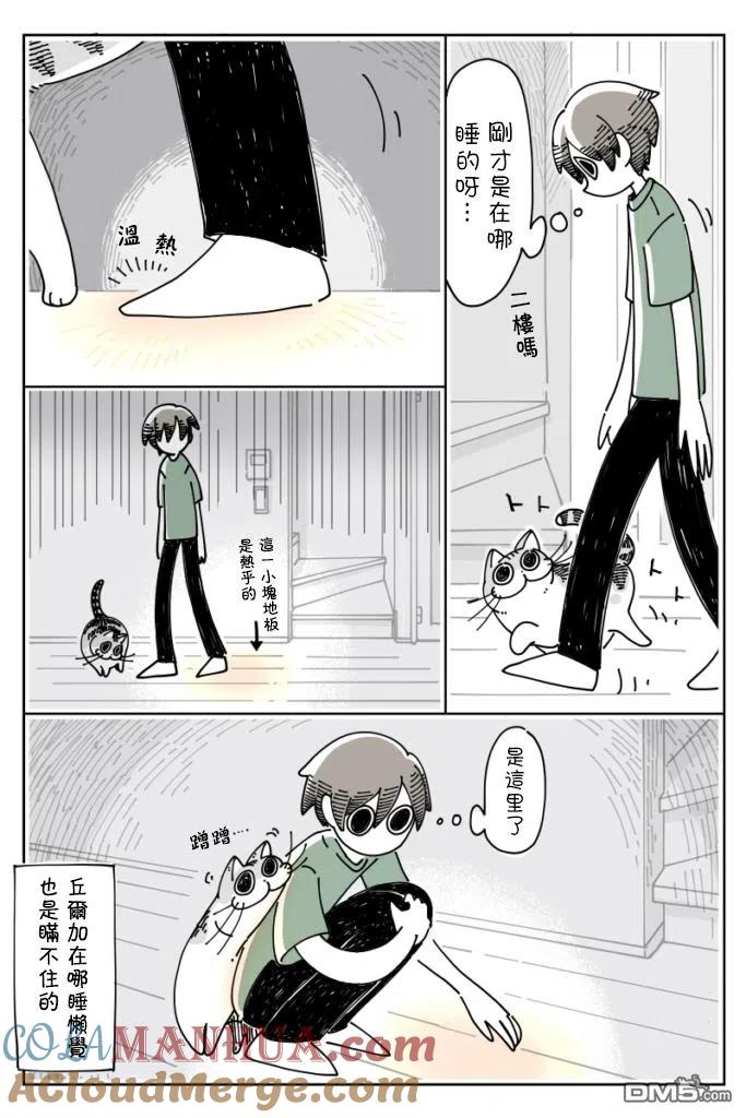第20话-关于养猫我一直是新手-キュルZ（第2张）