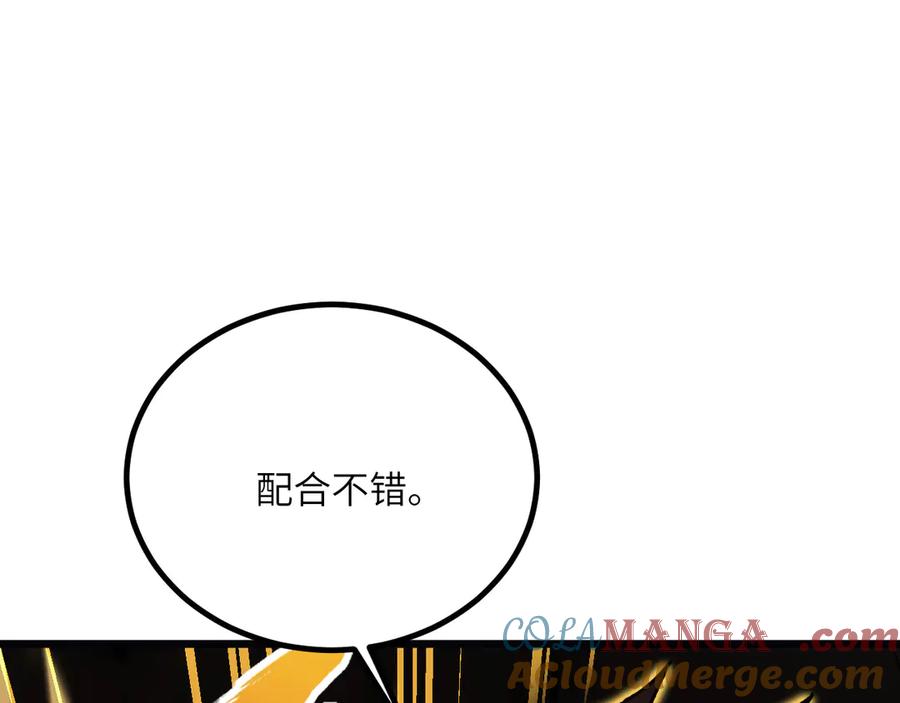 233.jpg