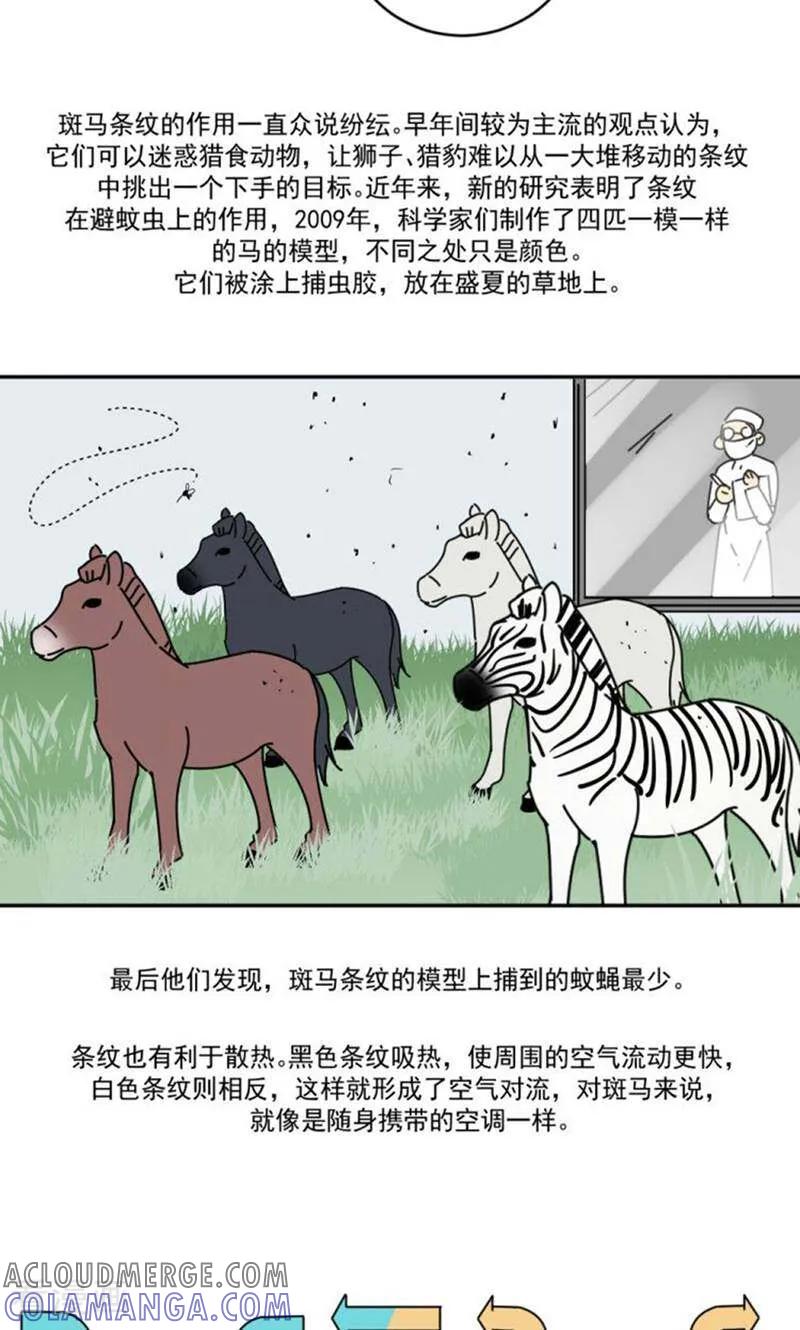 第11话-硬核动物园-咪咕数媒（第33张）
