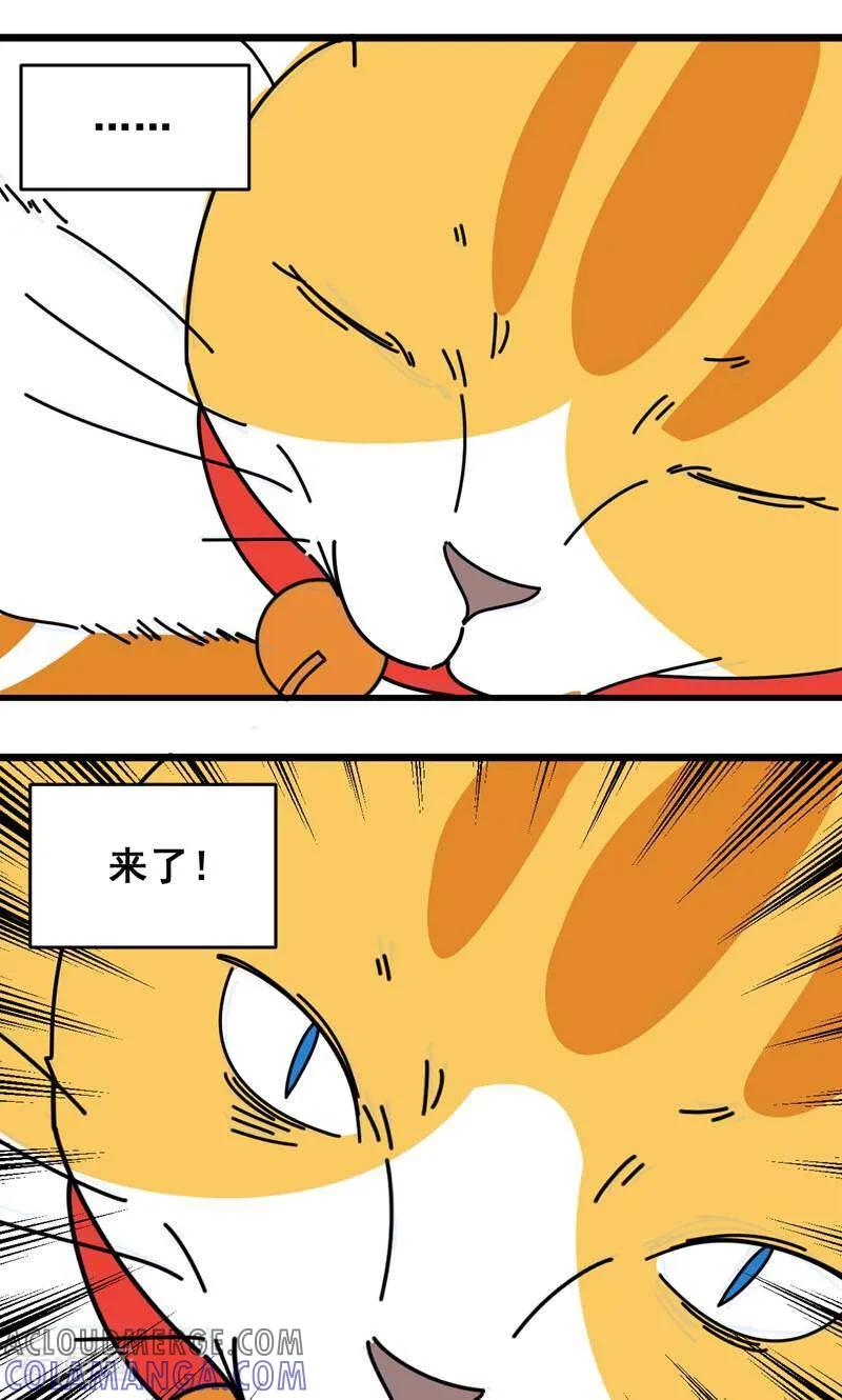 第12话-硬核动物园-咪咕数媒（第25张）