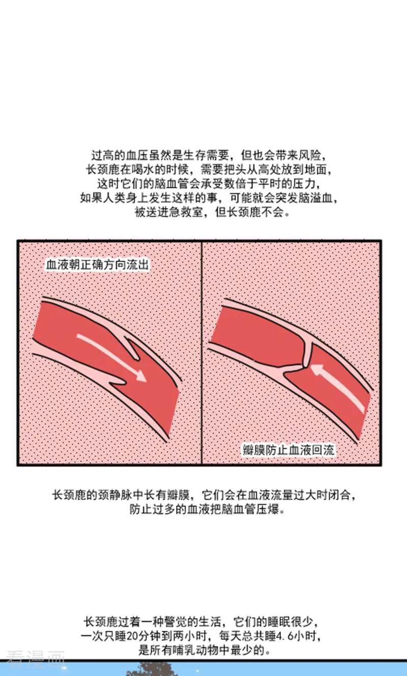 第13话-硬核动物园-咪咕数媒（第32张）