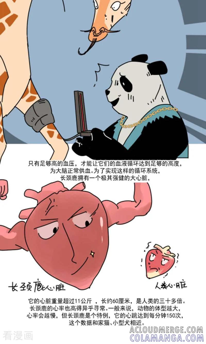 第13话-硬核动物园-咪咕数媒（第31张）