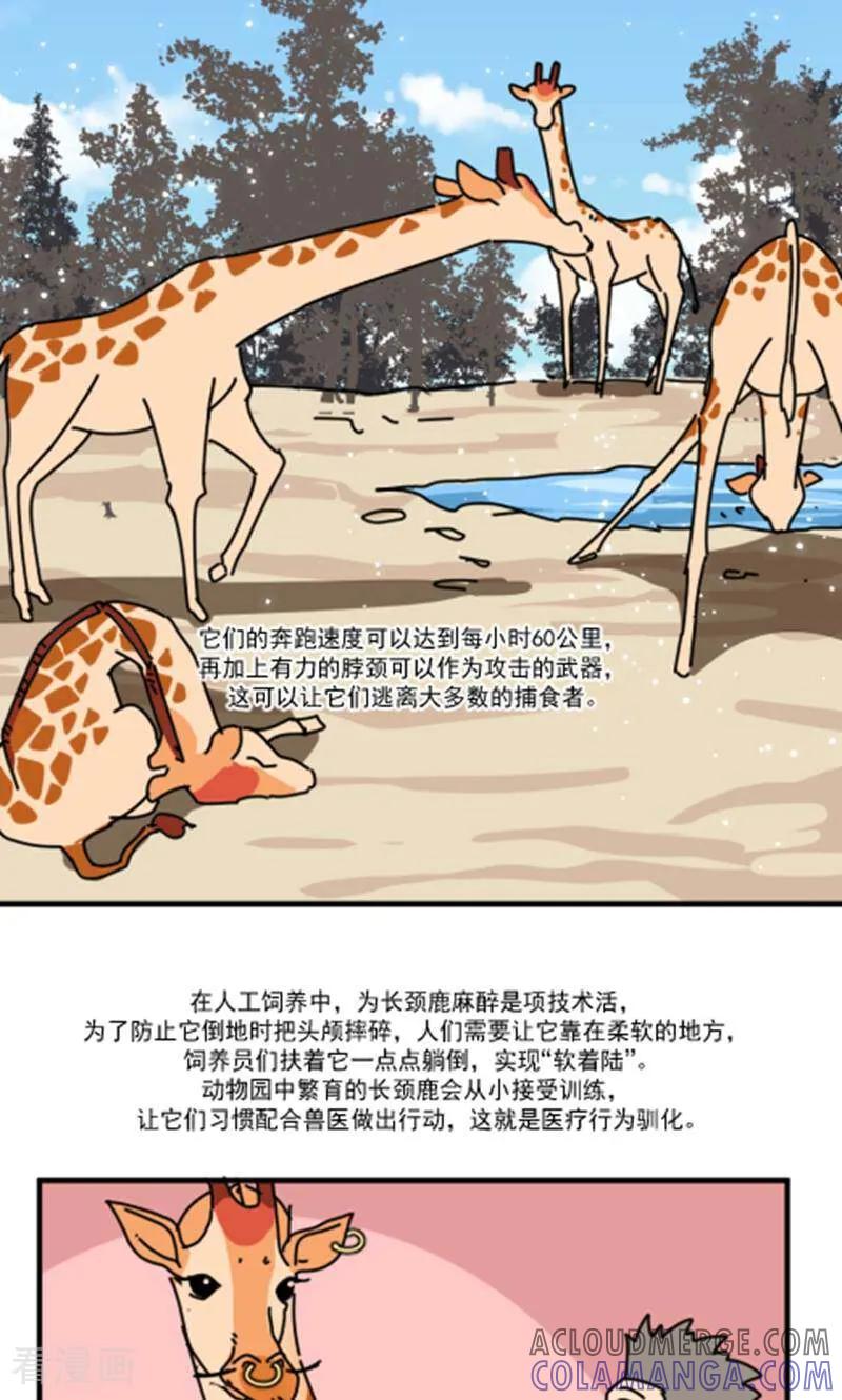 第13话-硬核动物园-咪咕数媒（第33张）