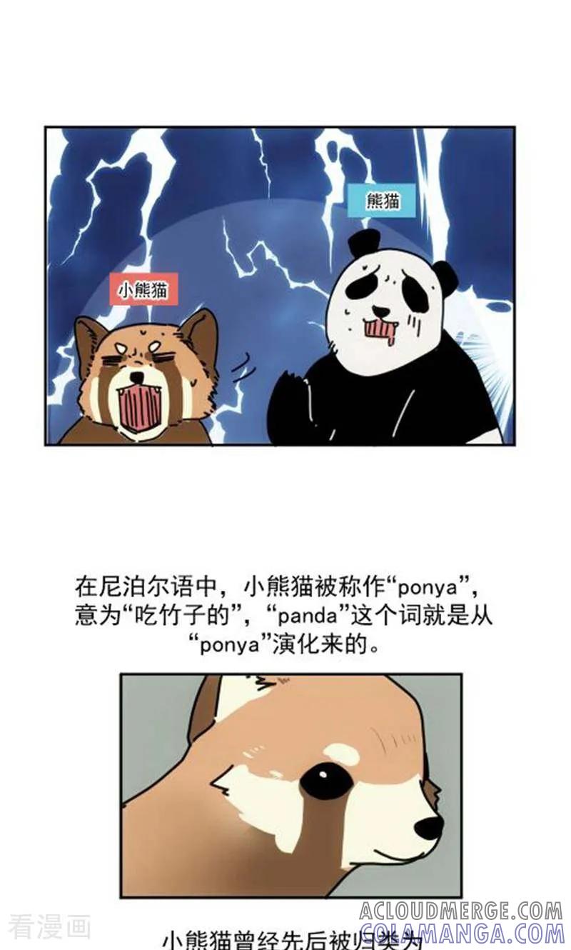 第14话-硬核动物园-咪咕数媒（第33张）