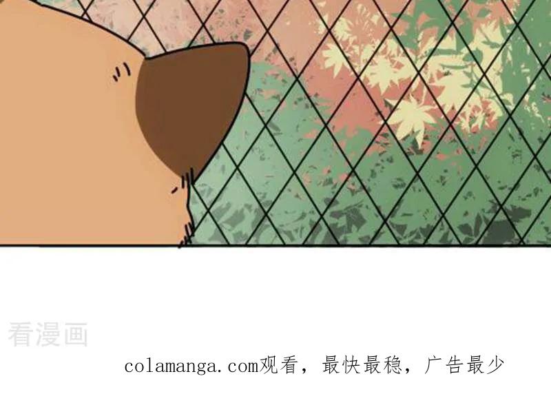 第14话-硬核动物园-咪咕数媒（第36张）