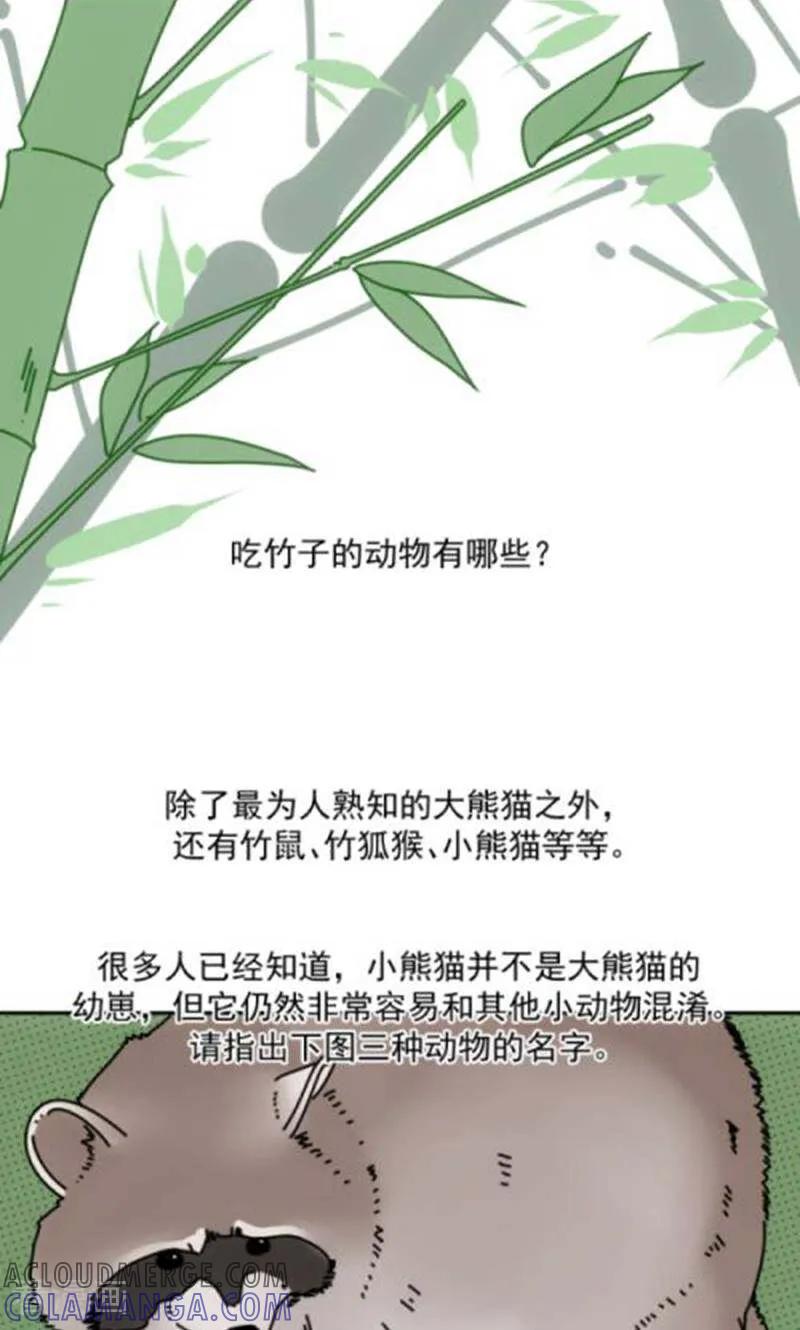 第14话-硬核动物园-咪咕数媒（第29张）