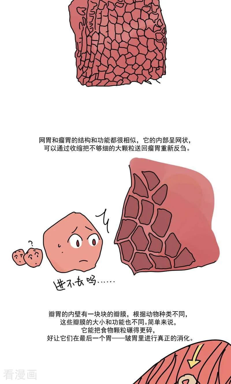 第15话-硬核动物园-咪咕数媒（第32张）