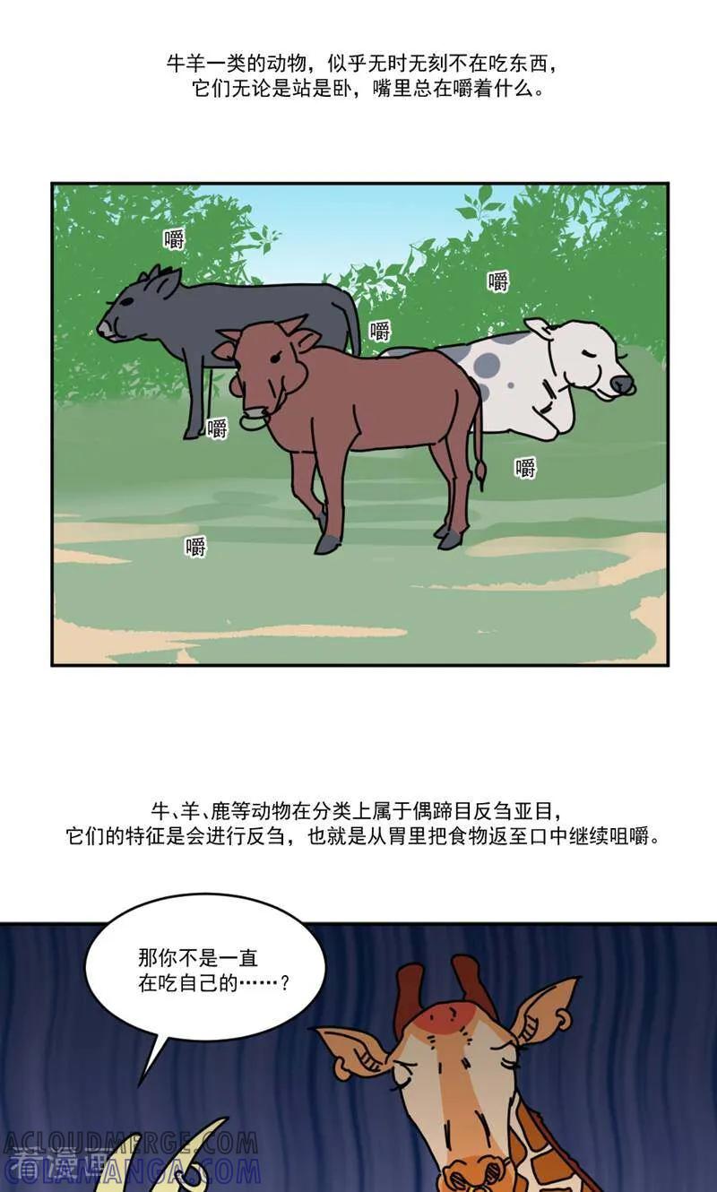 第15话-硬核动物园-咪咕数媒（第29张）