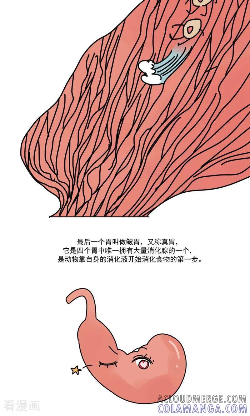 第15话-硬核动物园-咪咕数媒（第33张）
