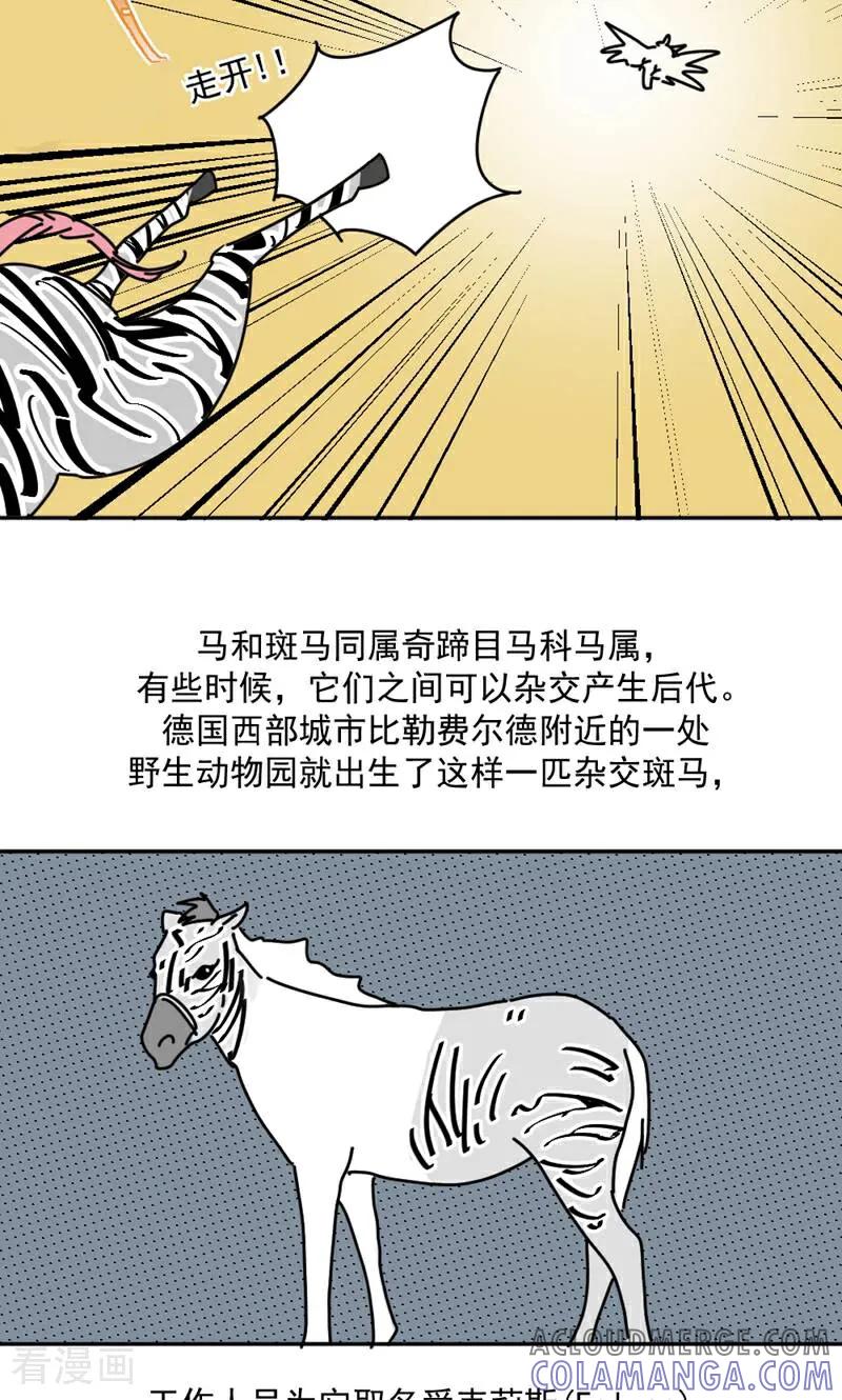 第16话-硬核动物园-咪咕数媒（第31张）