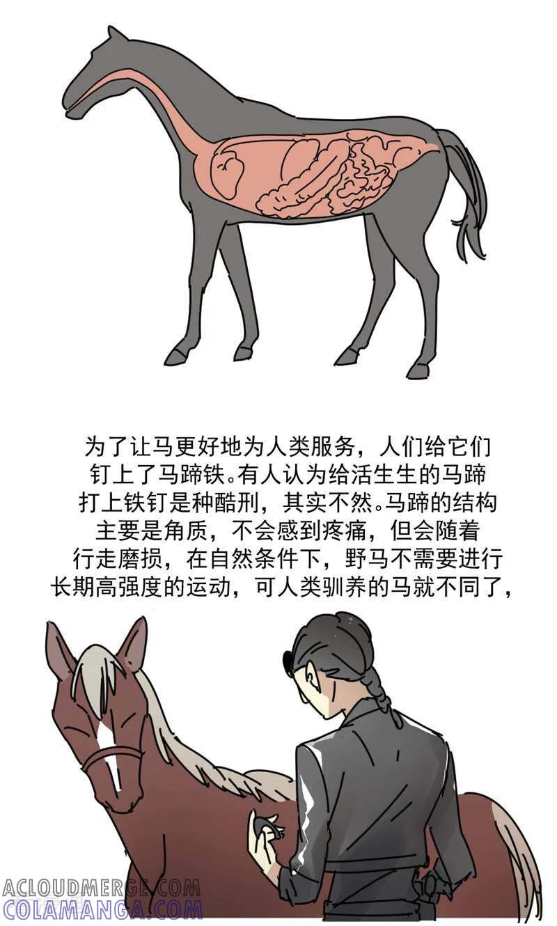 第16话-硬核动物园-咪咕数媒（第35张）
